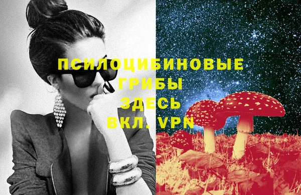 прущий лед Вяземский