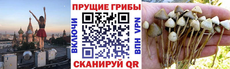 Галлюциногенные грибы мухоморы  блэк спрут зеркало  Дальнегорск 
